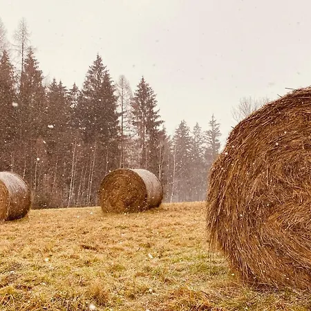 Na Wylacznosc Sloneczne Wzgorze W Karkonoszach - Sauna - Kominek