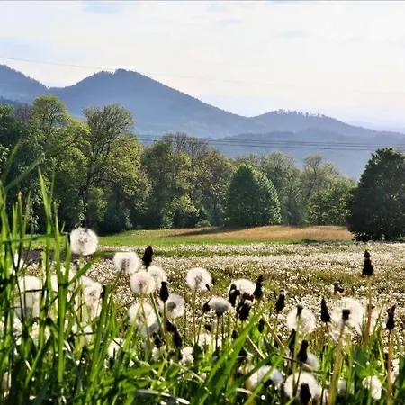 Na Wylacznosc Sloneczne Wzgorze W Karkonoszach - Sauna - Kominek Janowice Wielkie